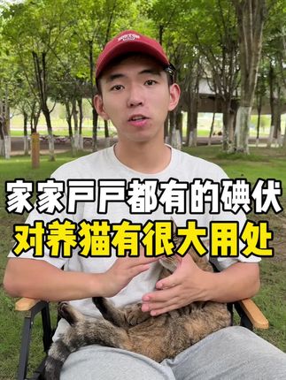 碘伏在养猫过程中居然有大妙用!#科学养宠攻略 #萌宠好物 #宠物知识