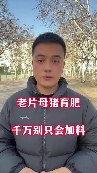 老片母牛育肥,千万别只会加料!#淘汰母牛育肥 #老片母牛 #淘汰母牛 #养牛技术