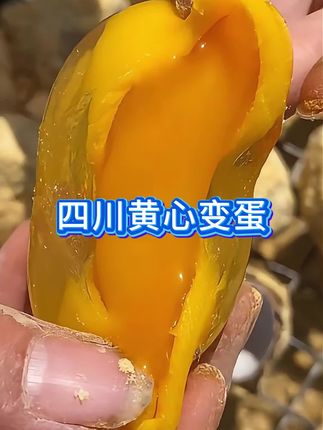 四川黄心松花皮蛋#口感特别好 #溏心变蛋 #皮蛋 #溏心变蛋皮蛋 #黄心变蛋