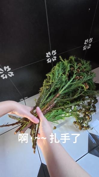 沉浸式布置圣诞节🎄已经开始期待啦~ 岁末年终的浪漫,是被节日和烟火气填满的。
把圣诞树从储藏室搬出来,一点点支棱开枝叶,踮着脚把blingbling的装饰球挨个挂上,再将暖黄的灯串一圈圈缠满枝桠,按下开关的瞬间,星星点点的光漫开来,氛围感直接拉满。
转身扑进餐桌布置的小欢喜里:抖开圣诞配色的桌布仔细铺平,将精致的餐盘和银质刀叉一一摆好,剪几枝带着松香的绿枝和珍珠串,插进水晶花瓶里,几颗松果在桌角做点缀。
家里的毛孩子们也来凑热闹,有的蜷在桌角打盹,有的好奇扒拉桌布,尾巴扫过脚踝,软乎乎的。
原来浪漫从不是刻意营造,是灯火、是相聚、是猫咪的陪伴,是岁岁年年的温暖。
#圣诞节#圣诞的100种打开方式 #我和我的猫 #圣诞萌宠#萌宠出道计划