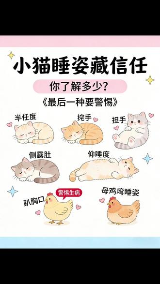 小猫睡觉姿势藏的秘密你知道吗,母鸡蹲意味着什么? #小猫睡觉的样子 #养猫知识 #养猫经验分享