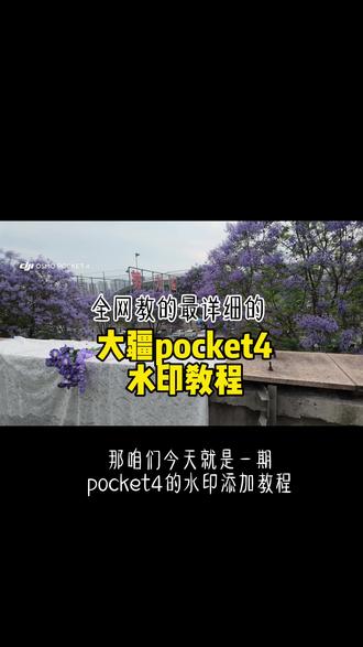 pocket4的水印如何添加,最全教程来啦~ #大疆pocket4 #水印教程 #大疆水印