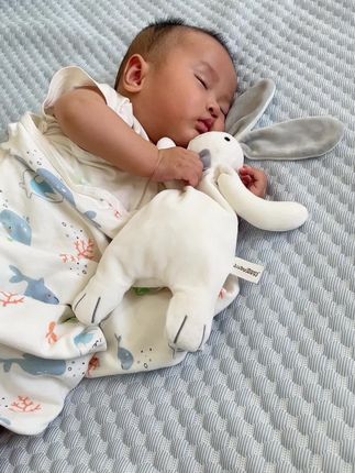 这个小兔子玩偶还是有点本事的陪伴宝宝快5个月了 每天抱着它睡才有安全感吧,大家的阿贝贝都是什么#宝宝睡觉 #安抚玩偶 #哄睡神器 #惊跳反射 #小兔安抚巾收起