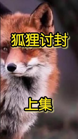 《狐狸讨封》上集 祸害乡里#民间故事 #奇闻轶事 @DOU+小助手 @DOU+上热门