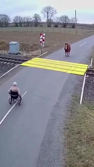 为这匹救人的英雄好马🐴点赞👍🏻