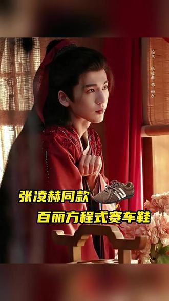 是谁看完逐玉不想来一双张凌赫同款呢!!#张凌赫同款 #逐玉 #德训鞋推荐 #舒适百搭不累脚