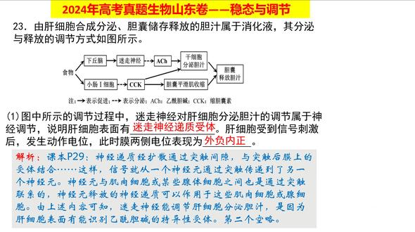 2024年高考真题生物山东卷第23题 #高考