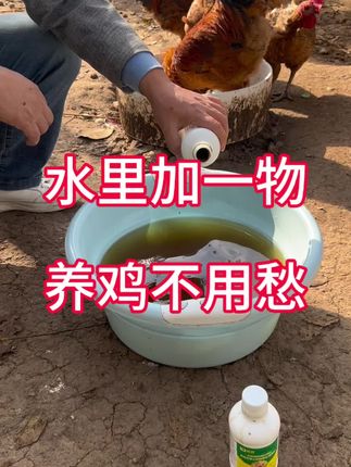 鸡鸭鹅养殖方法#养鸡小妙招 #农村散养土鸡 #鸡鸭鹅养殖 #