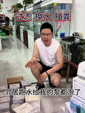 #底吸防干烧水泵#抽水吸粪循环