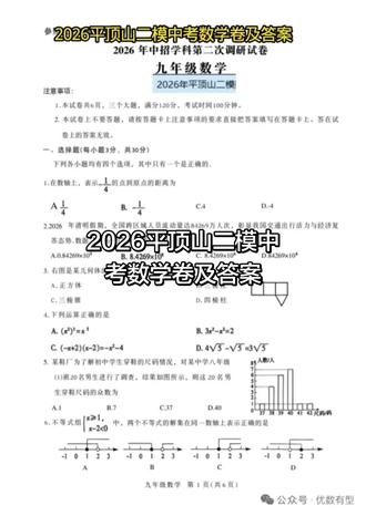 2026平顶山二模中考数学卷及答案
