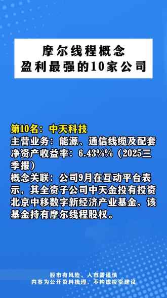 摩尔线程概念,盈利最强的10家公司