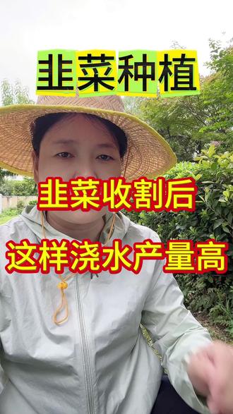 韭菜种植与管理 #韭菜种植方法 #韭菜种植方法
