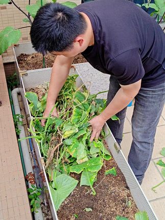 我每次种菜都会在土壤中加入一部分稻谷壳,它能保湿保水让土壤松软透气不在板结 #土壤板结的改良方法 #种植小技巧 #超便宜超划算 #分享农业知识帮农民增产增收