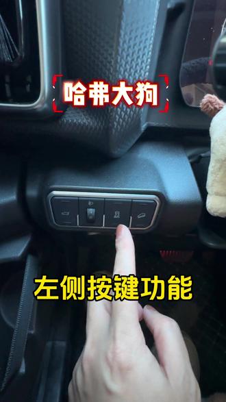 哈弗大狗左侧按键功能教程来了。#热门话题 #哈弗大狗 #每天一个用车知识 #用车技巧 #汽车用品