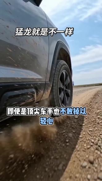 #AI巴音布鲁克拉力夺冠赛 #随变ai随便玩#过年 #赛车 #汽车人共创计划
飞驰人生电影照进现实,太真实了😎😎😎😎