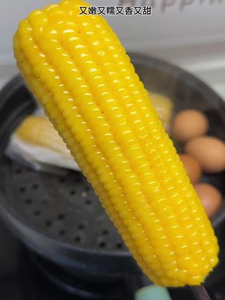 十月稻田的黄糯玉米,我们家已经记不清吃过多少箱了,软糯香甜的还能拉丝,口感又嫩又糯又香,太好吃啦#东北粘玉米 #粗粮 #糯玉米 #十月稻田黄糯玉米 #太好吃了