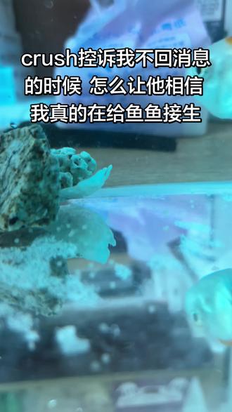 我的鲨鱼(嗯 对 她只是名字叫鲨鱼) 最近尾巴尖尖突然黑了 给我吓得要死 我还以为她快噶了 火速买亚甲基蓝给她药浴
昨天折腾了两个小时 研究用量和方法 开始感觉放多了 后面搞来纯净水给她稀释了一下
结果,,,,在我想把她转移回鱼缸的时候 因为她顽强抵抗 扑通扑通溅了我一脸水 我本来轻拢着她的手指收紧了一点 结果 她就这么在我的手里生了 生了 生了 生了!!!!!!!
亏我在此之前一直以为她是个男鱼 因为她平时真的巨活泼 有时候还贱贱的 比如我用大吸管给她吸鱼屎 她总是围在周围窜上窜下把💩搅散 结果现在她突然生了 还生在了我手里
而且她一直是单身 我养了大半年 她都是一鱼一缸,后面打算给我的鱼鱼找个男宠了
#养鱼 #养鱼日记 #鱼 #男宠 #男模