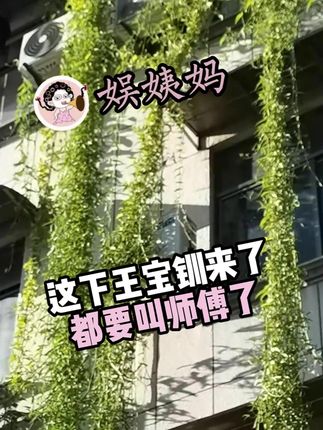 这下王宝钏来了都要叫师傅了#空心菜 #离谱 #恋爱脑