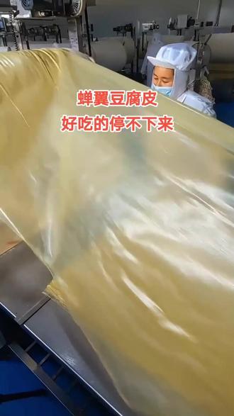 蒸皮薄春卷纯正油豆皮豆皮五香卷腐竹可做馅料正宗手工头层豆腐皮#妈呀太香了 #腐皮肉卷 #肉卷