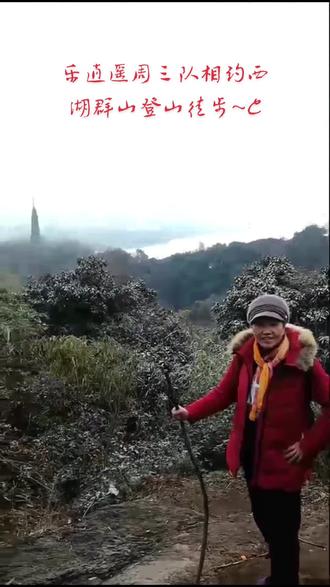 # 踏雪寻踪登顶宝石山见江南佘白