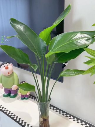 教孩子学会“吵架”,不惹事也不能怕事,在善良中带有一些锋芒,避免社交伤害#亲子教育#正确的引导孩子陪伴孩子 #家长必读