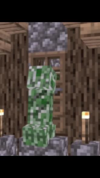 #我的世界 #Minecraft