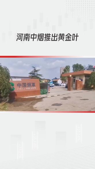 河南中烟黄金叶系列#