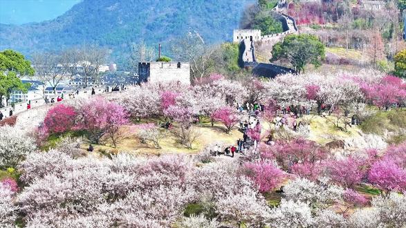 临海市城墙江南长城梅园