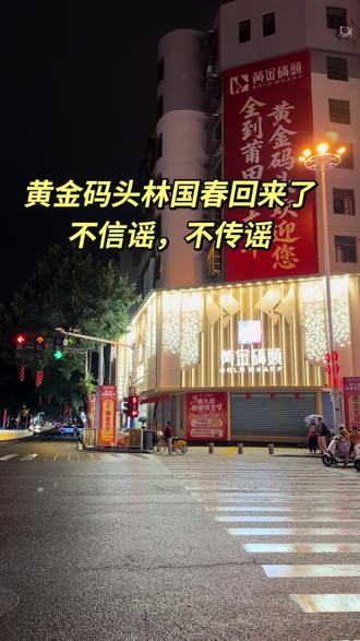 黄金码头林国春回来了