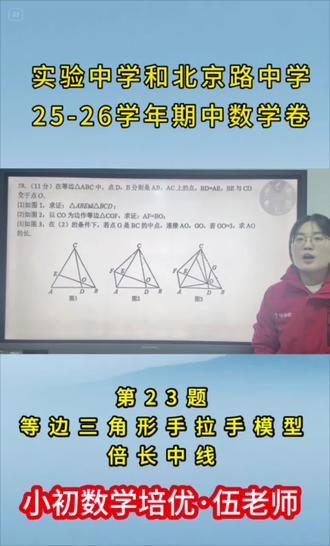 十堰实验中学和北京路中学八年级上册数学期中联考卷必考模型:手拉手模型和倍长中线#十堰学而思 #八年级上册数学#几何模型