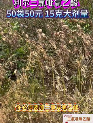 利尔三氯吡氧乙酸50袋50元除藤蔓灌木水花生 #三氯吡氧乙酸 #除水花生#除灌木#除藤蔓#田埂除草