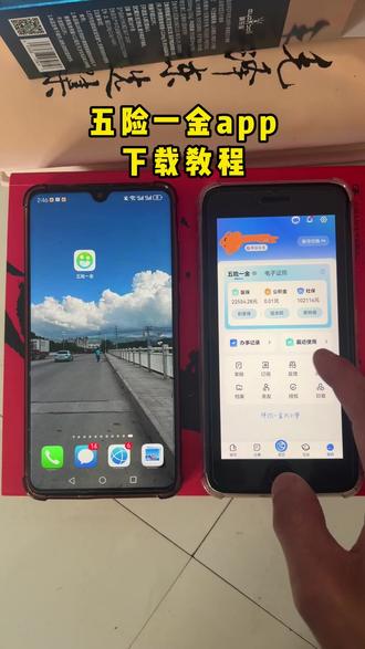 《年兽宝库》五险一金查询app下载教程#五险一金查询app在哪下载 #五险一金app免费下载 #五险一金怎么下载 #怎样下载五险一金缴费记录 #五险一金在哪个app交 2026年五险一金下载 五险一金app安卓下载