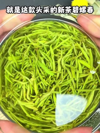 正宗高山碧螺春茶2025特级新茶明前茶叶碧螺春浓香绿茶炒青春罐装#碧螺春#绿茶#茶叶#好物推荐