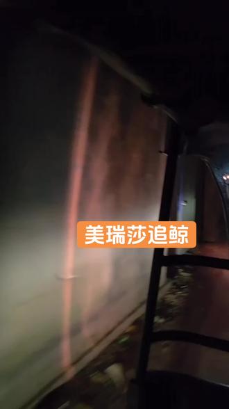 凌晨五点的美瑞莎还浸在墨蓝里,海边小镇只有海浪声与零星灯光。我裹着薄外套赶往码头,空气中混着咸湿海风与淡淡的鱼腥味,这里是全世界最佳观鲸地之一,每年11月至次年4月,蓝鲸会沿着海岸线迁徙,我们恰好赶上最幸运的季节。
码头早已热闹起来,各色观鲸船停靠岸边,船员熟练地整理绳索,分发简易早餐与矿泉水。登船后找二层靠前的位置坐下,视野开阔无遮挡,是绝佳观测点。清晨六点,船只缓缓驶离港湾,向着深海进发。
起初海面平静,岸边椰林与白色沙滩渐渐退成剪影。行至远海,风浪渐大,船体随波浪起伏,晕船药成了必需品。海风扑面而来,头发被吹得凌乱,所有人都望向远方,等待那道标志性的水柱。
不知过了多久,船员突然用当地语言大喊,手指向右侧海面。循声望去,一道白色水柱冲天而起,紧接着,巨大的青灰色脊背缓缓浮出水面,线条流畅而震撼——是蓝鲸!
这颗星球上现存最大的动物,就在眼前舒展身躯。它悠然换气、下潜,尾鳍优雅扬起,拍碎海面阳光。那一刻,船上所有尖叫与惊叹都归于安静,只剩心跳与海浪同频。我们幸运地遇见多次浮出,甚至看到母子同游,温柔得不像话。
观鲸途中,大群飞旋海豚突然跃出水面,绕着船头嬉戏领航,它们身姿灵巧,时而腾空时而扎进海里,为这场深海奇遇添了满满灵气。
全程约4-5小时,风浪虽大,晕船虽累,但当亲眼看见蓝鲸摆尾的瞬间,所有疲惫都被治愈。大海的辽阔与生命的震撼,是文字与镜头都装不下的浪漫。
返航时阳光铺满海面,美瑞莎的沙滩渐渐清晰。这场与深海巨兽的温柔邂逅,是印度洋送给我最珍贵的礼物。