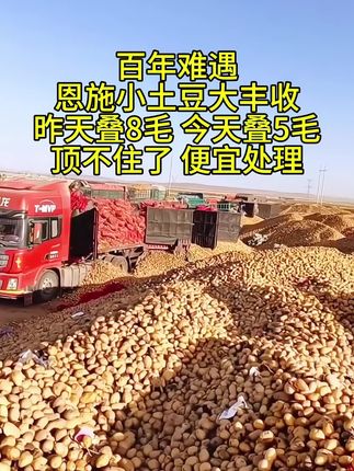 2025年第一批恩施小土豆大丰收了#优质农产品 #土豆 #洋芋 #马铃薯 #恩施小土豆