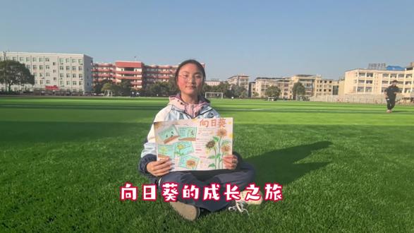 《花盘里的秘密:向日葵的成长之旅》自然笔记#自然笔记的手抄报 #安源中学 #自然笔记