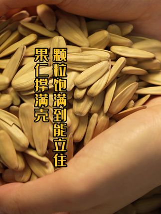 同事追着我要链接的古法瓜子#零食 #瓜子