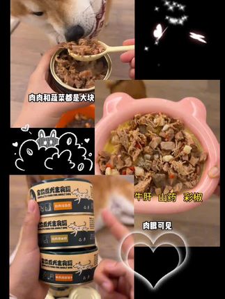 天天吃狗粮谁都会腻啊!这个罐头可以直接当主食去吃 真材实料跟自己做的狗饭一样#家有馋狗 #萌宠好物 #柴犬 #狗狗吃饭
