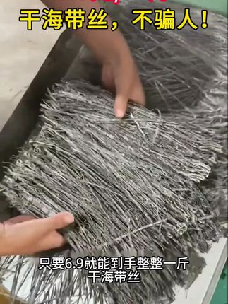 纯天然日晒海带丝干货散装商用批发价凉拌菜食材无盐海带丝#超便宜超划算
