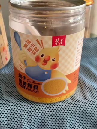 #热门 #玉鸟#芙蓉鸟#养鸟经验分享