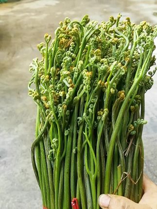 当坚持做一件事时,会尝尽里面的悲伤和无助。
