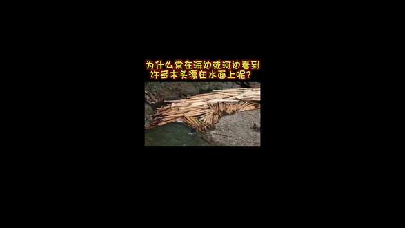 水里的木头不一定有价值哦#知识分享 #每天跟我涨知识 #关注我每天分享知识 #干货分享