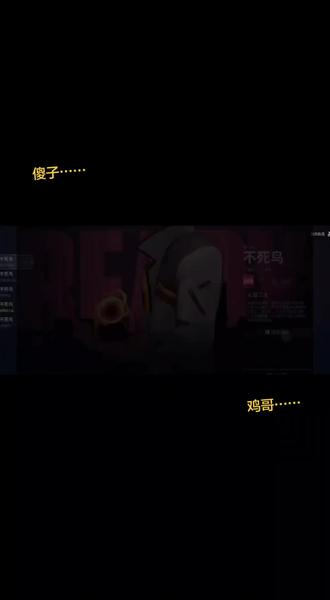 鸡哥……我们想你了……