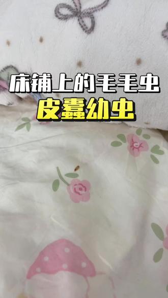 床上出现的毛毛虫,身上还带着几跟刺,旁边还有一些脱了皮的外壳,而且爬行速度还很慢,这就是皮蠹幼虫了,为合它们一直钻到被子上活跃呢,因为皮蠹幼虫是一种爱吃,各种毛发,皮屑,头发等物品的害虫,特别喜欢在床垫缝隙,床角爬来爬去,偶尔也会爬到衣柜里面,吃掉皮革外套和羊毛大衣,最重要一点,这些皮蠹幼虫身上的毛刺,当人们不小心接触到,还会引起皮肤过敏,瘙痒等,所以发现一只皮蠹幼虫就要消灭了,别等数量多起来,早处理早好,推荐大家使用这款,专业皮蠹幼虫杀虫剂,连续每天喷洒在虫子活跃的区域即可#皮蠹幼虫 #皮蠹消灭方法 #皮蠹幼虫危害 #皮蠹幼虫如何消灭 #皮蠹幼虫杀虫剂