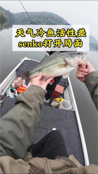 有一句话怎么说来着?如果有一种钓组能钓光所有的鲈鱼,那一定是senko钓组!#重庆路亚 #鲈钓 #路亚钓鱼 #蔡家路亚 #senko