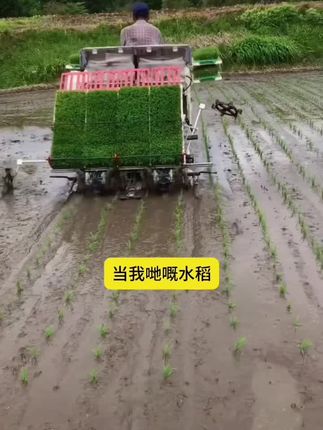 #李羲承符神颜 #李羲承直拍 #李羲承让粉丝闭眼 #李羲承的无线魅力 #穿搭分享