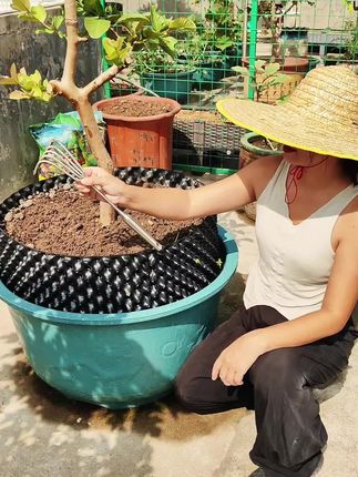 #不锈钢耙子 #锄草 以前不知道有这种,现在用过一次真的不想再换了!
