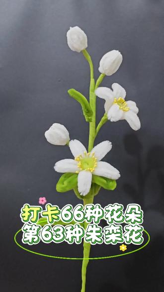 朱栾花~
#用手工迎接夏天 #万物皆可扭一扭 #周末丰容计划 #抖音宝藏生活家 #扭扭棒 @抖音小助手 @抖音 @抖音创作者大会