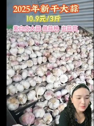2025年新干大蒜,数量有限哦#农村生活 #农业种植 #农业