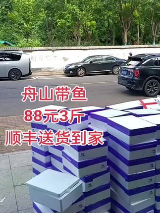舟山雷达网带鱼到货了,喜欢吃的可以试试口味,清蒸红烧油煎都是不错的选择哦#强烈推荐 #抖音推广 #舟山带鱼#雷达网带鱼#舟山海鲜